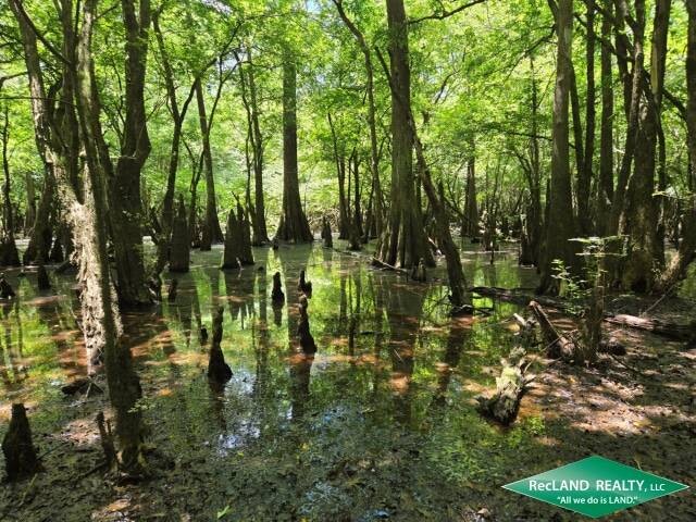 Land for Sale in Union Parish, LA (5 of 30)