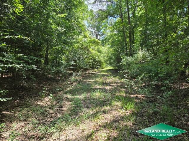 Land for Sale in Union Parish, LA (7 of 30)