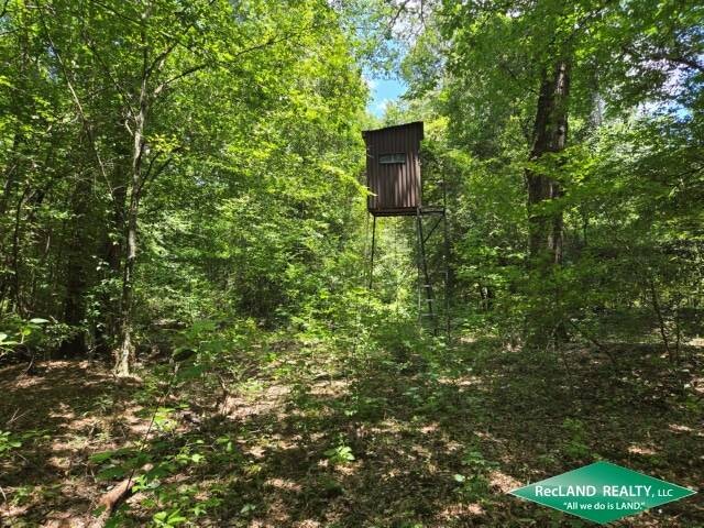 Land for Sale in Union Parish, LA (8 of 30)