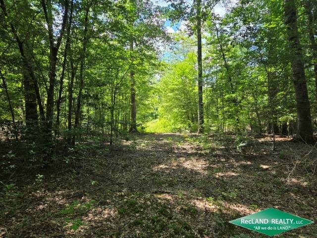 Land for Sale in Union Parish, LA (9 of 30)