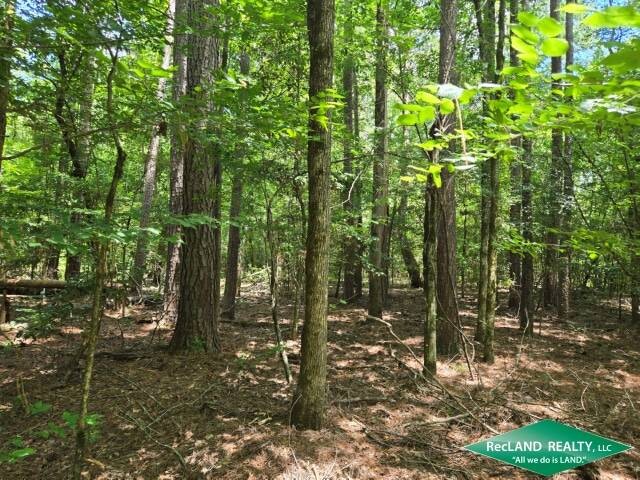 Land for Sale in Union Parish, LA (10 of 30)