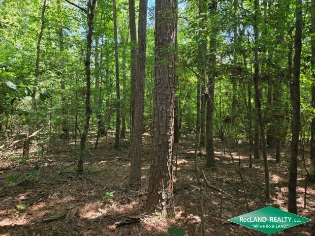 Land for Sale in Union Parish, LA (11 of 30)
