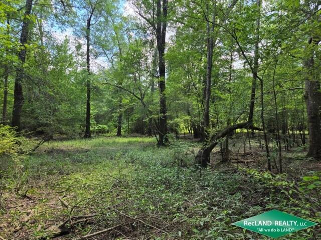 Land for Sale in Union Parish, LA (12 of 30)