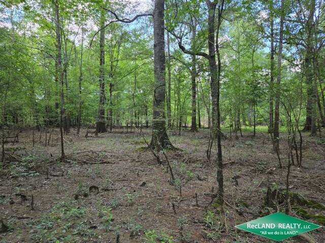 Land for Sale in Union Parish, LA (13 of 30)