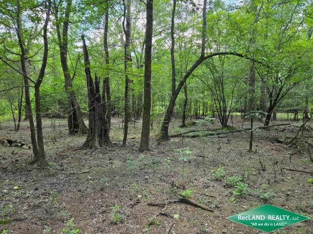 Land for Sale in Union Parish, LA (14 of 30)