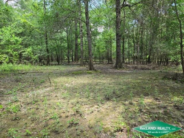 Land for Sale in Union Parish, LA (15 of 30)