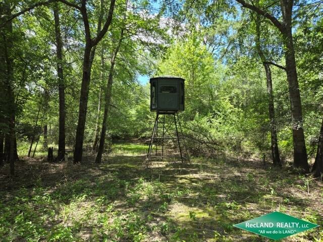 Land for Sale in Union Parish, LA (16 of 30)