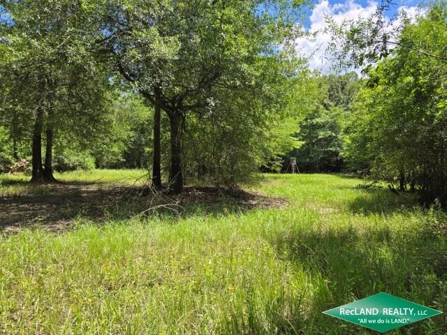 Land for Sale in Union Parish, LA (17 of 30)