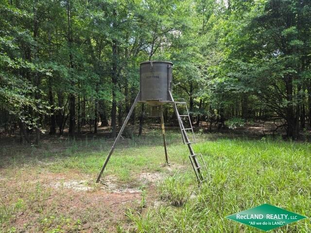 Land for Sale in Union Parish, LA (18 of 30)