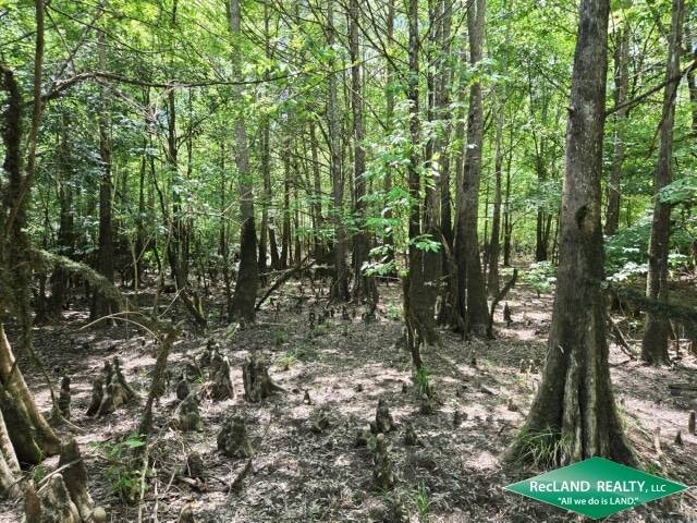 Land for Sale in Union Parish, LA (19 of 30)