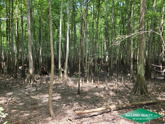 Land for Sale in Union Parish, LA (20 of 30)