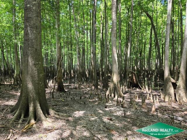 Land for Sale in Union Parish, LA (21 of 30)