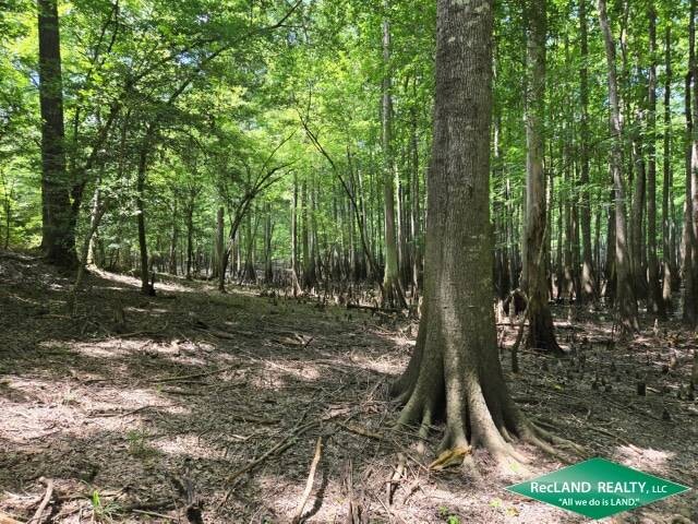Land for Sale in Union Parish, LA (22 of 30)
