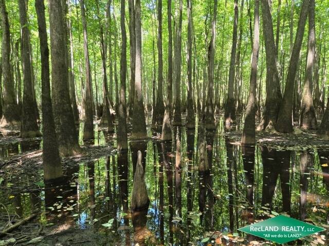 Land for Sale in Union Parish, LA (24 of 30)