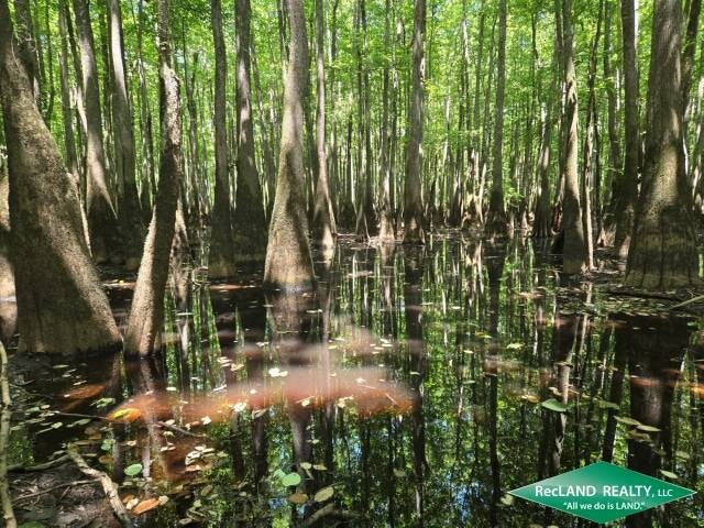 Land for Sale in Union Parish, LA (25 of 30)