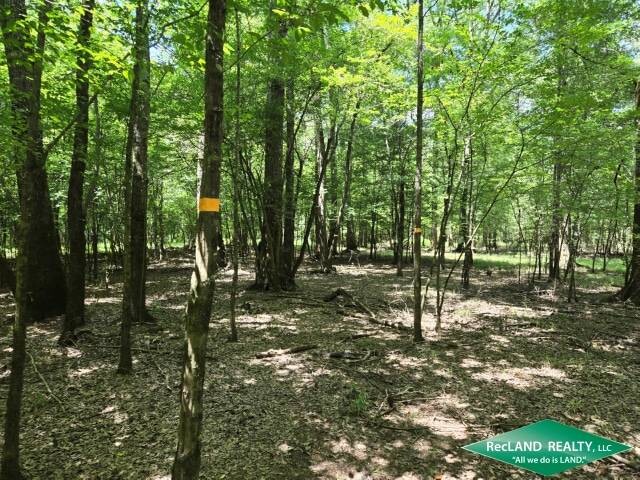 Land for Sale in Union Parish, LA (26 of 30)