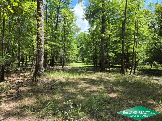 Land for Sale in Union Parish, LA (27 of 30)