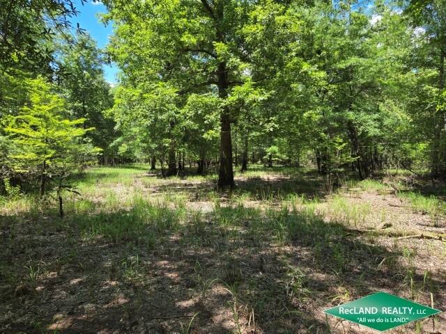 Land for Sale in Union Parish, LA (28 of 30)