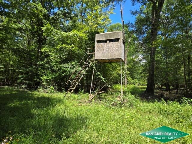 Land for Sale in Union Parish, LA (29 of 30)