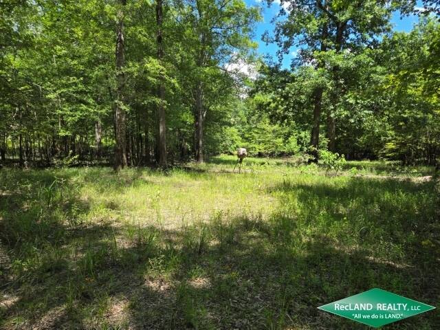 Land for Sale in Union Parish, LA (30 of 30)
