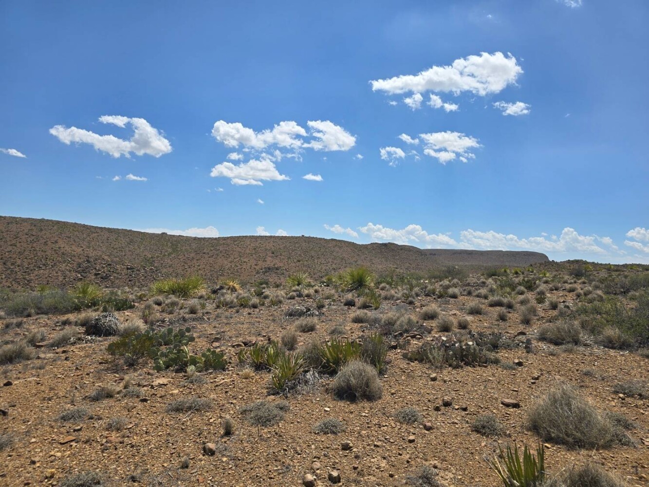 Land for Sale in Brewster County, TX (1 of 17)