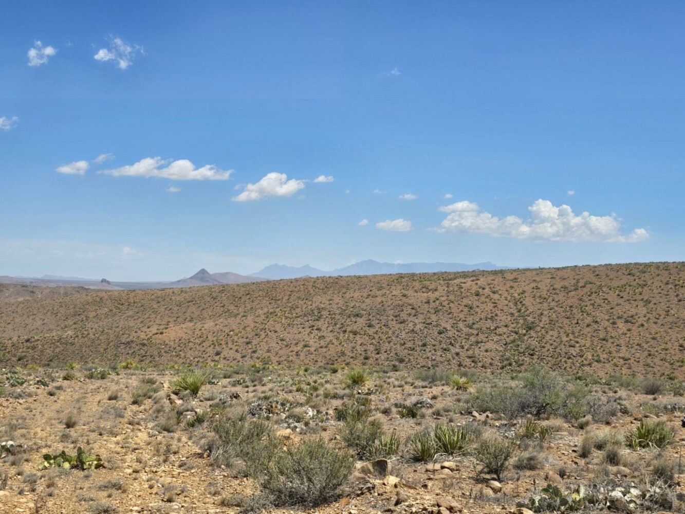 Land for Sale in Brewster County, TX (4 of 17)