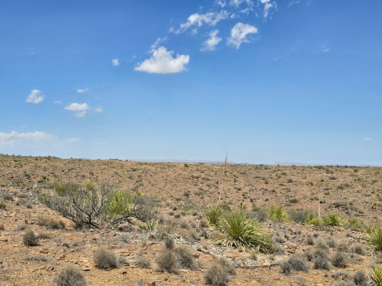 Land for Sale in Brewster County, TX (6 of 17)