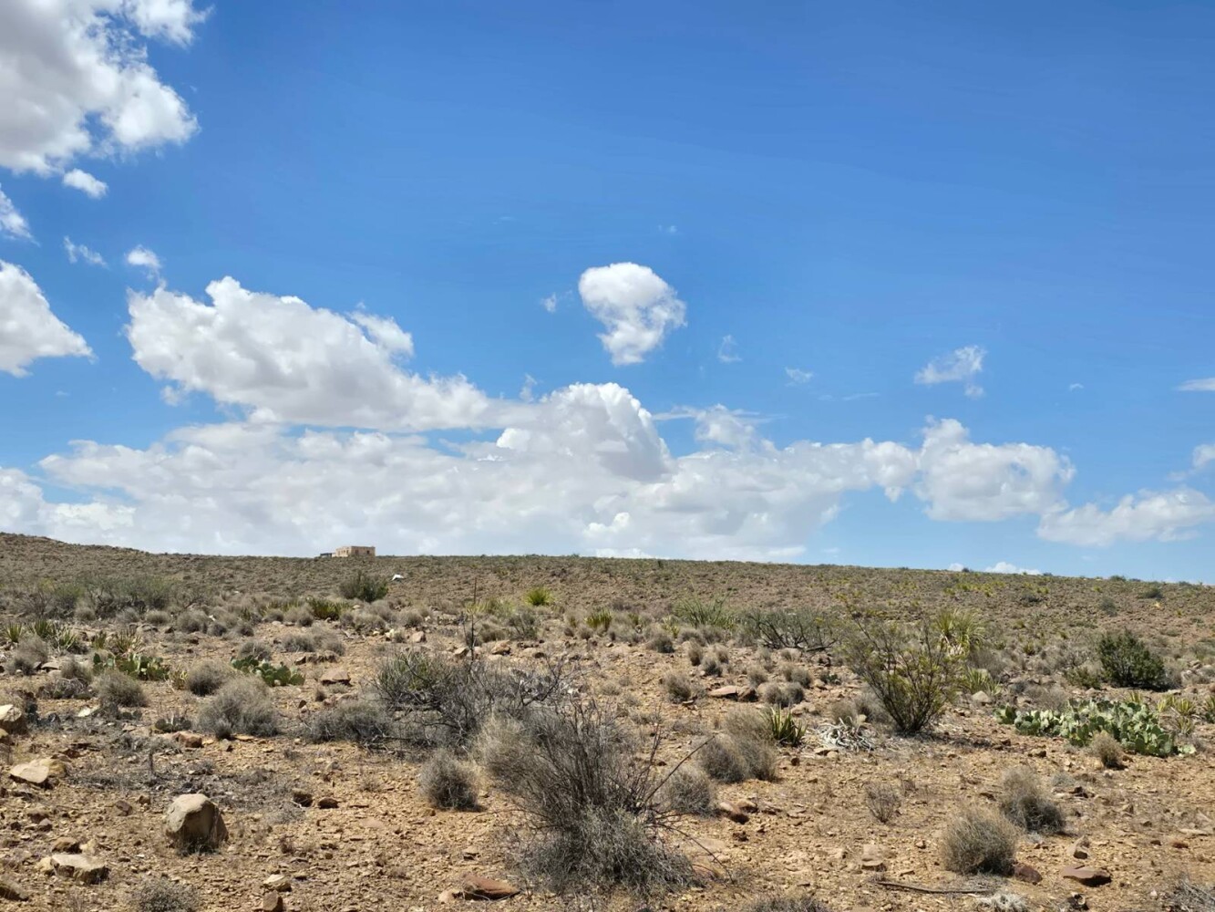 Land for Sale in Brewster County, TX (7 of 17)