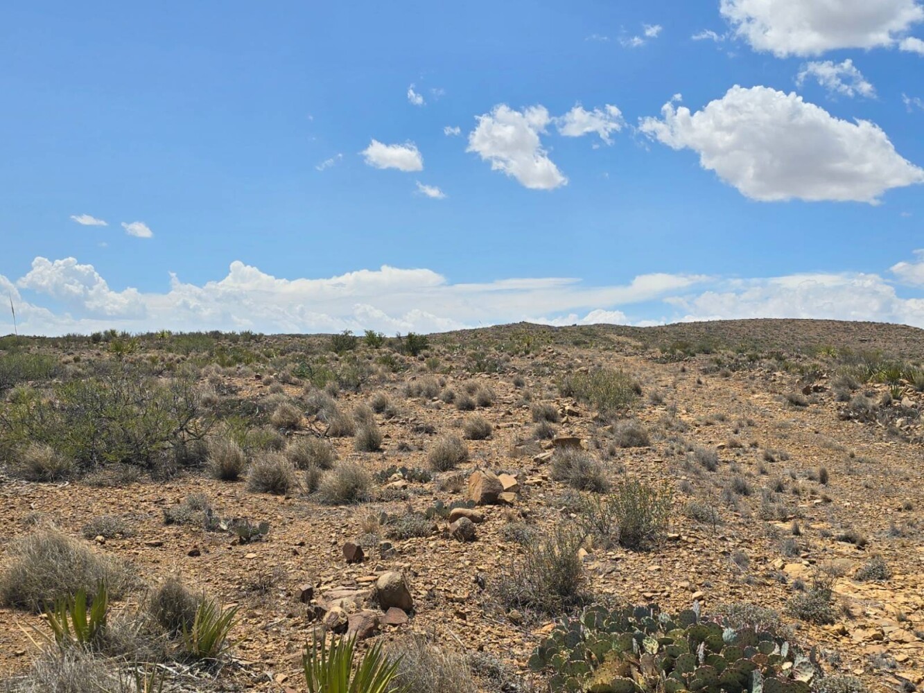 Land for Sale in Brewster County, TX (8 of 17)