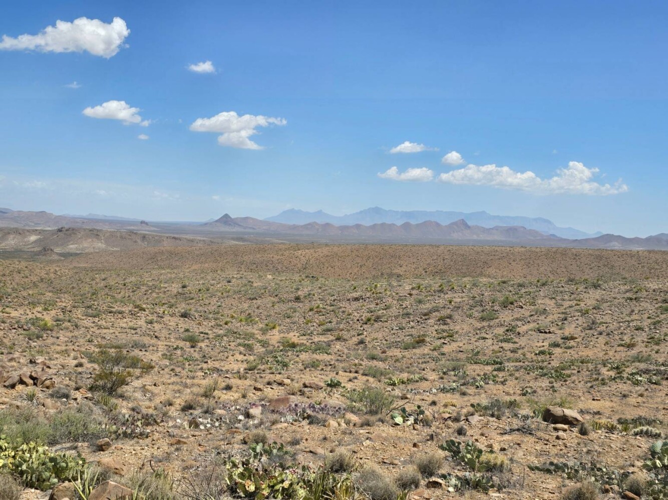 Land for Sale in Brewster County, TX (9 of 17)