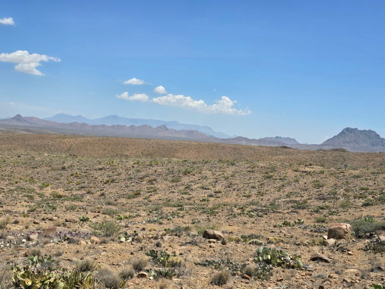 Land for Sale in Brewster County, TX (10 of 17)