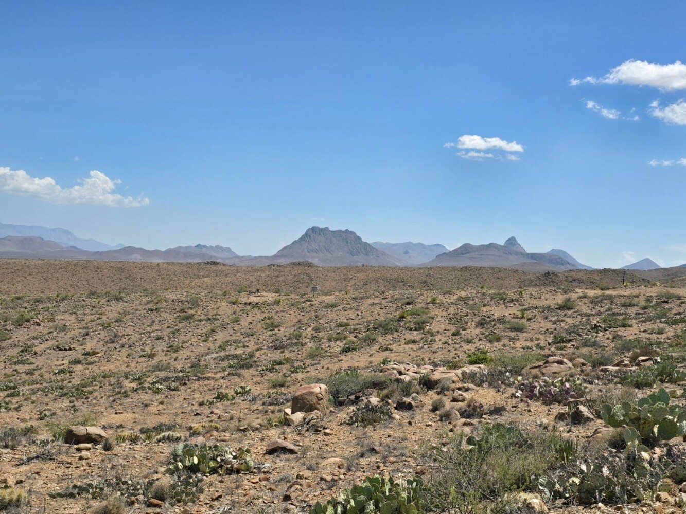 Land for Sale in Brewster County, TX (11 of 17)