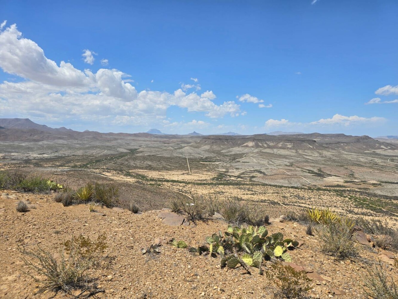 Land for Sale in Brewster County, TX (13 of 17)