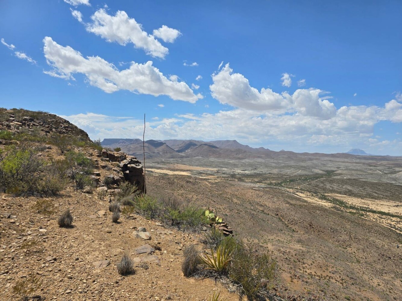 Land for Sale in Brewster County, TX (14 of 17)