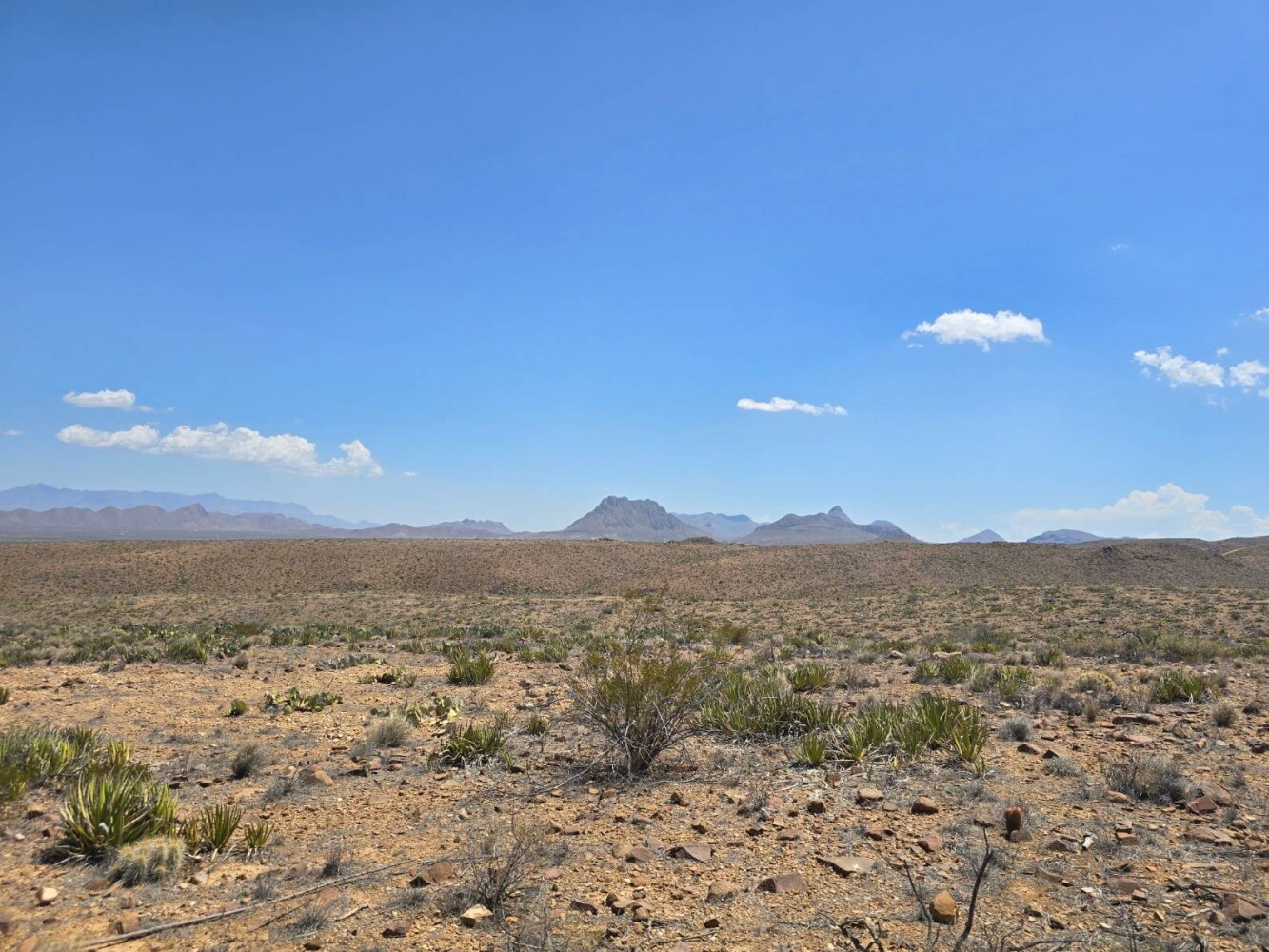 Land for Sale in Brewster County, TX (17 of 17)