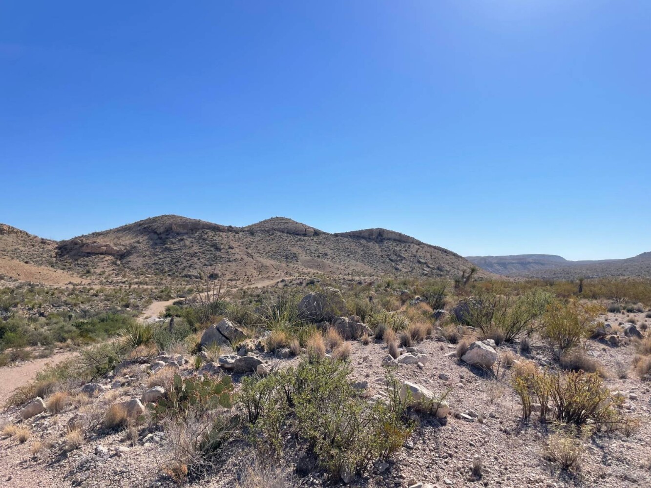 Land for Sale in Brewster County, TX (1 of 66)