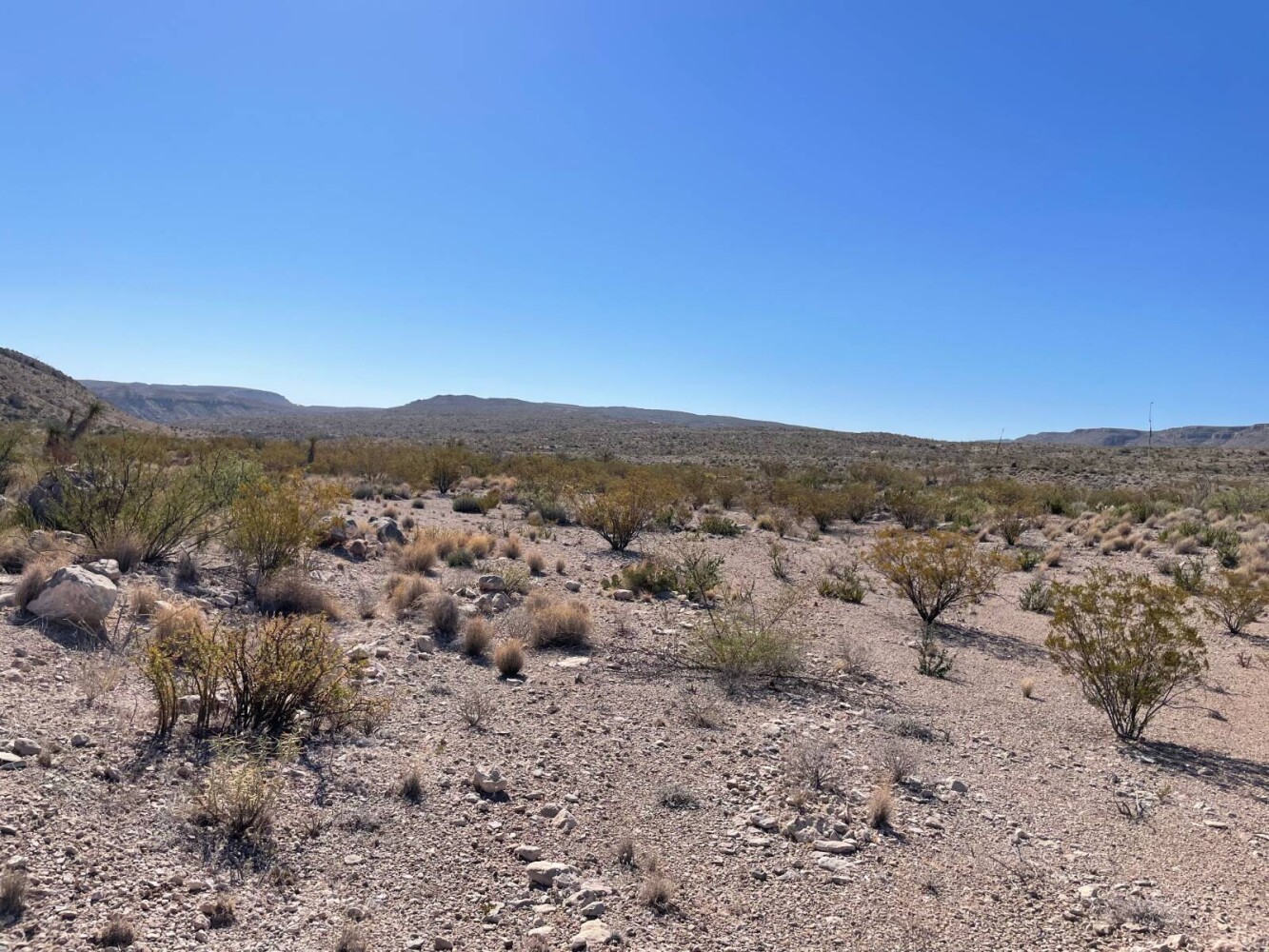 Land for Sale in Brewster County, TX (2 of 66)