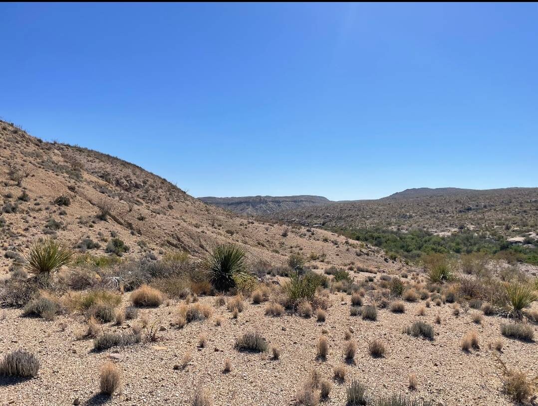 Land for Sale in Brewster County, TX (4 of 66)