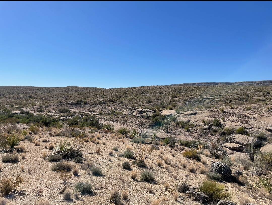 Land for Sale in Brewster County, TX (5 of 66)