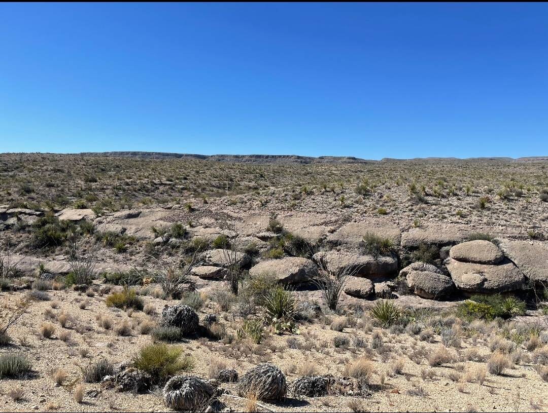 Land for Sale in Brewster County, TX (6 of 66)