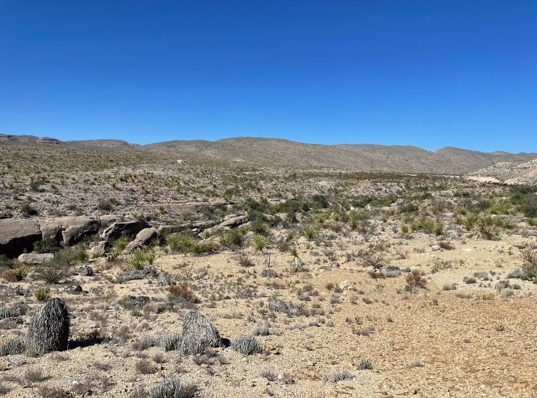 Land for Sale in Brewster County, TX (8 of 66)