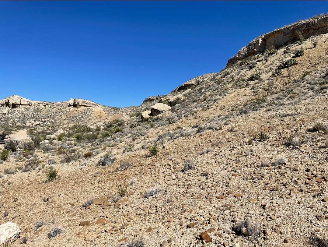 Land for Sale in Brewster County, TX (9 of 66)