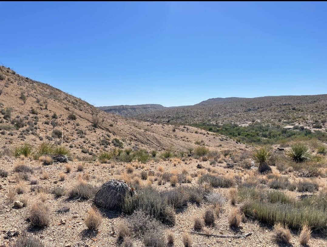 Land for Sale in Brewster County, TX (10 of 66)