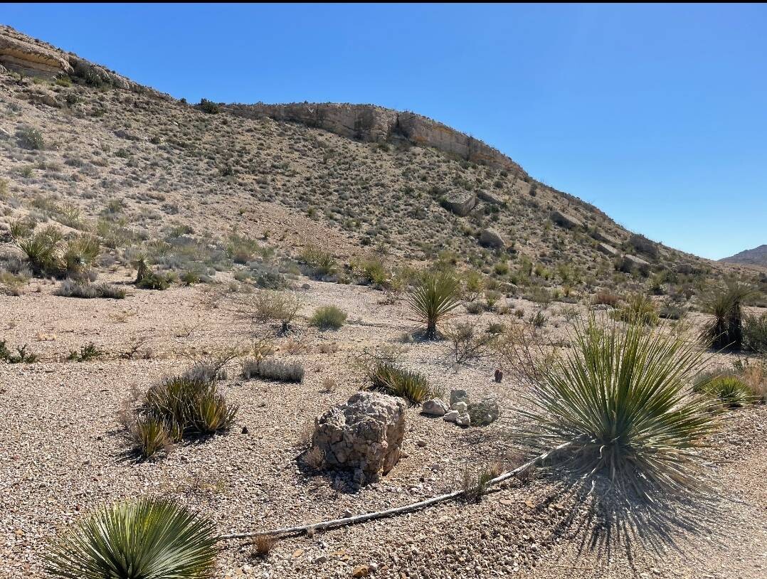 Land for Sale in Brewster County, TX (15 of 66)