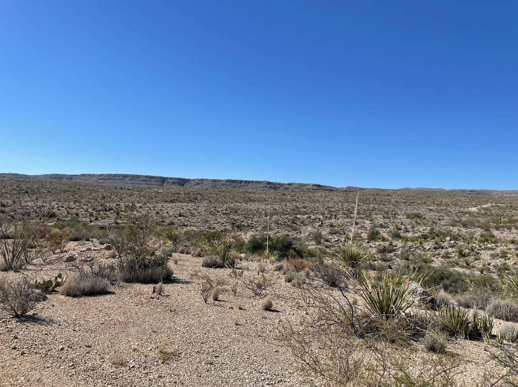 Land for Sale in Brewster County, TX (17 of 66)