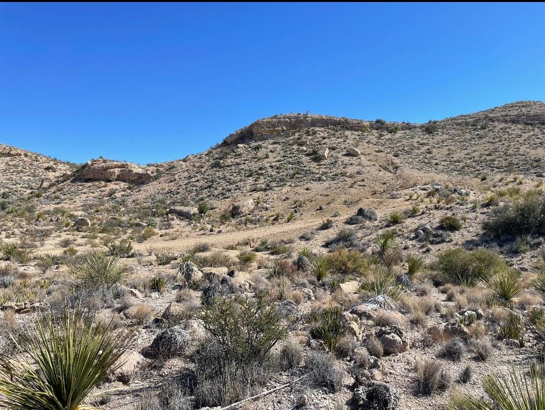 Land for Sale in Brewster County, TX (19 of 66)