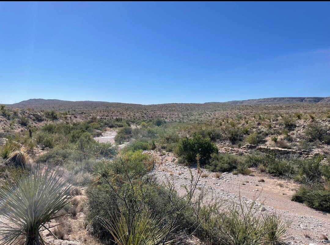 Land for Sale in Brewster County, TX (23 of 66)