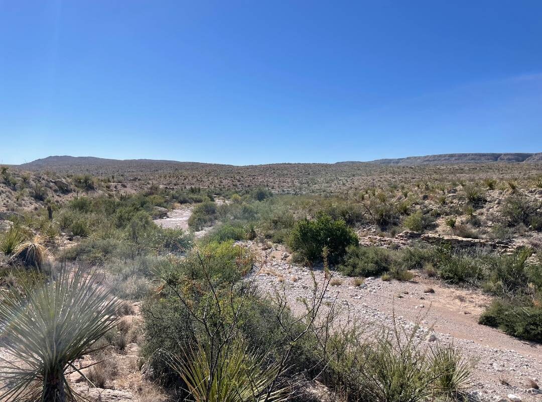 Land for Sale in Brewster County, TX (24 of 66)