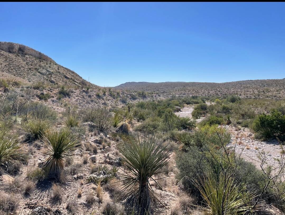 Land for Sale in Brewster County, TX (25 of 66)
