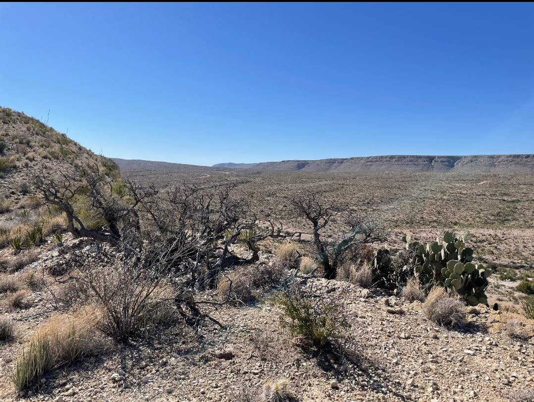 Land for Sale in Brewster County, TX (26 of 66)
